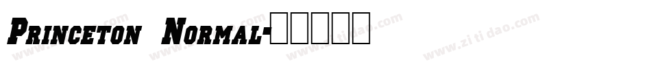 Princeton Normal字体转换